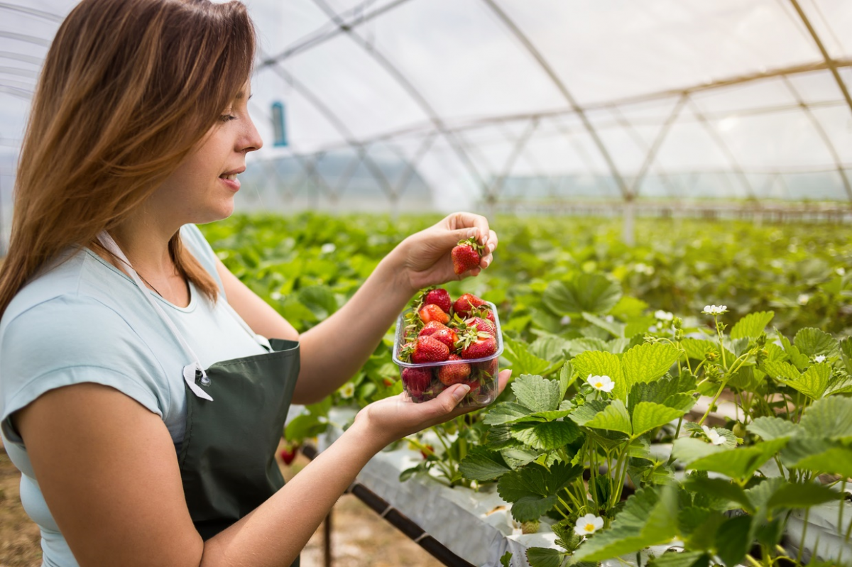Programme de formation du CAP Agriculture spécialité Horticulture Programme de formation du CAP Agriculture spécialité Horticulture