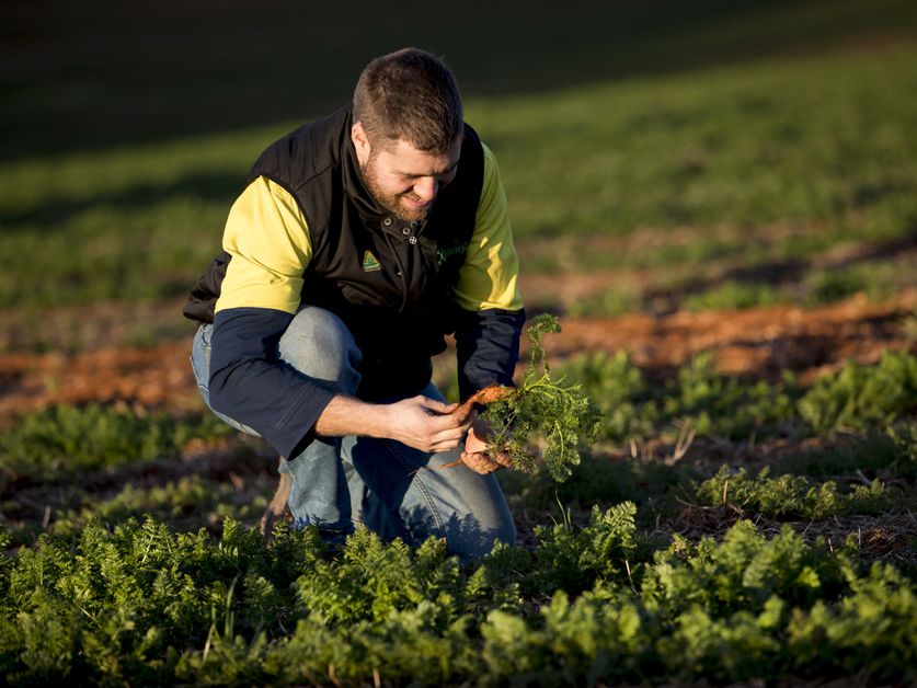 Des formations en horticulture, maraîchage et pépinière Des formations en horticulture, maraîchage et pépinière